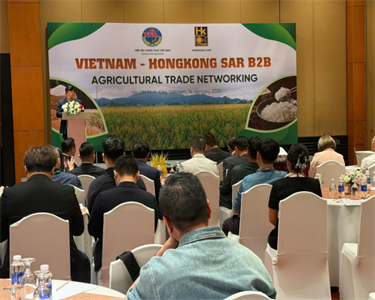 GIỚI THIỆU CHƯƠNG TRÌNH KẾT NỐI NGÀNH GẠO VIỆT NAM – HONG KONG